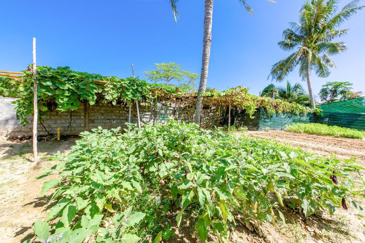 Oyo 426 Klaus Resort Nha Trang Bagian luar foto